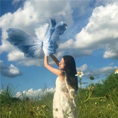 再见已是白月光